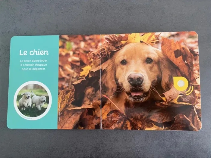 Livre sonore « Les animaux de compagnie » Auzou - photo numéro 6