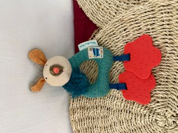 Anneau hochet de Zakhy le Chien moulin roty