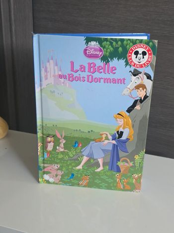 Livre Disney La belle au bois dormant