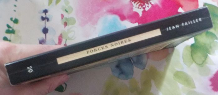 Une enquête de Mary Lester n°20 Forces noires de Jean Failler - photo numéro 3