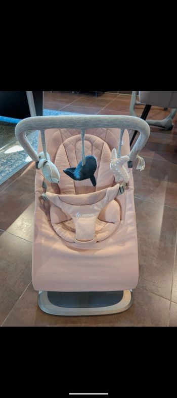 Transat ergobaby