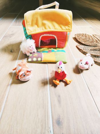 🐷Jeu d'éveil Ferme avec animaux en tissu /peluche marque Lilliputiens