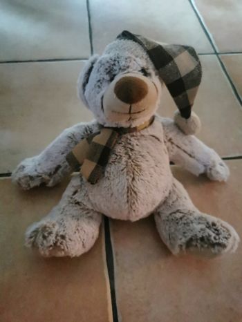 Ourson peluche