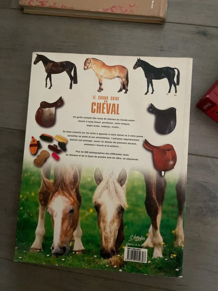 Lot de beaux livres pour passionnés de cheval chevaux équitation - photo numéro 12