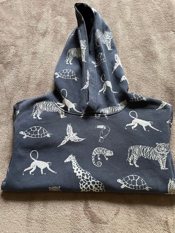 Sweat à capuche enfant 