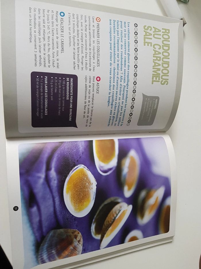 Livre l' atelier des bonbons bio - photo numéro 6