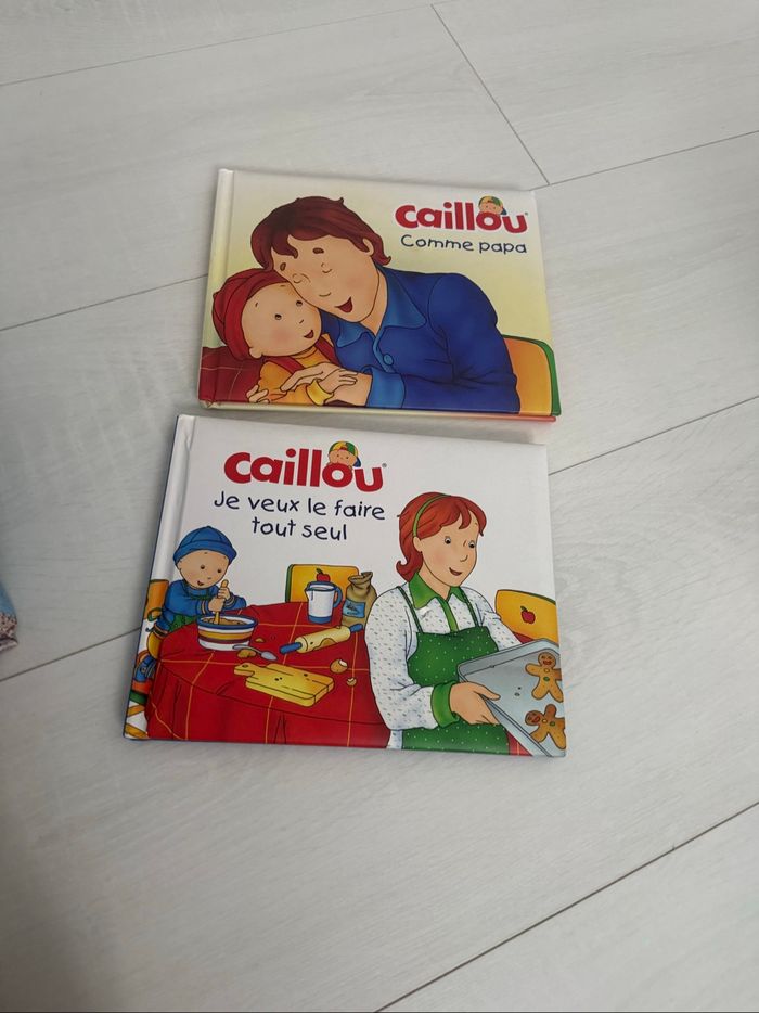 2 livres caillou