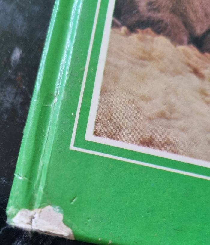 Livre ABC des animaux familiers - photo numéro 2