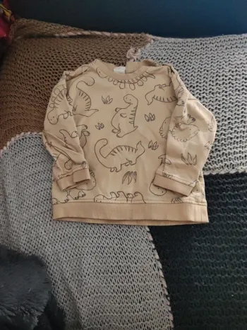 Sweat dinosaures 80cm