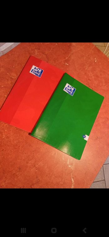 Lot de 2 cahiers oxford 21 / 29.7 cm
