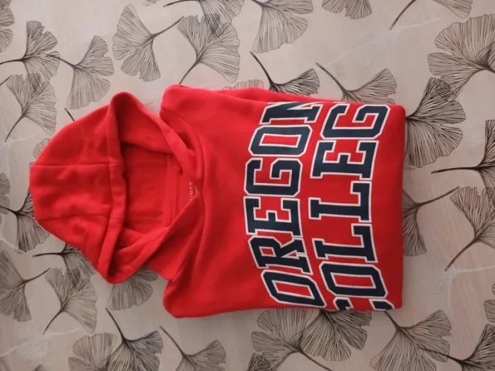Sweat garçon à capuche primark - photo numéro 4