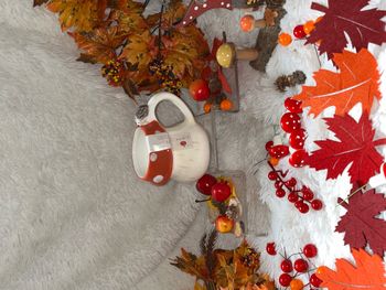 Mug champignon avec son hérisson