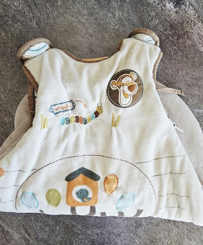 Gigoteuse naissance disney - photo numéro 2