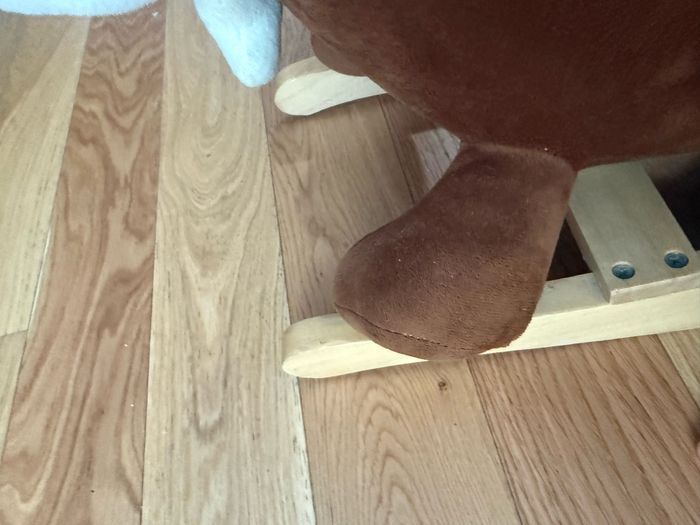 Chien a bascule oxybul - photo numéro 3