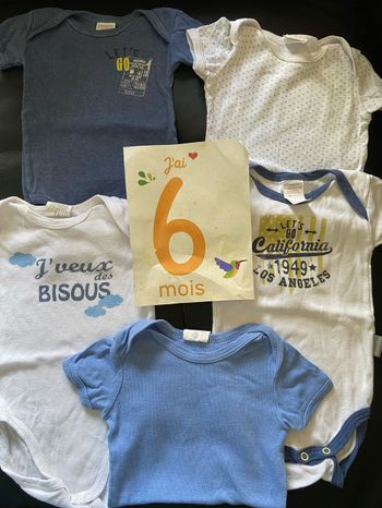 Lot de 5 bodies manches courtes