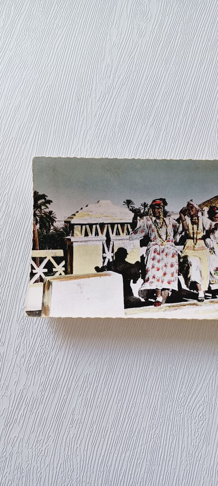 Carte postale vintage alger - photo numéro 2