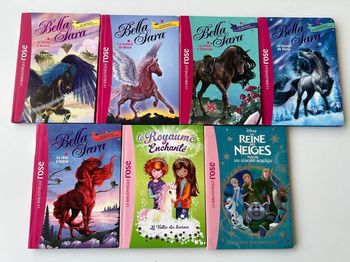 7 livres Belle&Sara bibliothèque Rose