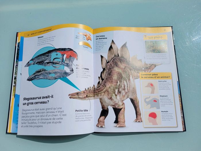 Questions ? Reponses! L'encyclopédie des dinosaures - photo numéro 9