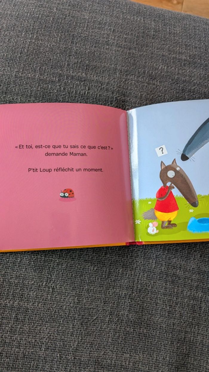 Lot de 2 livres P'tit loup - photo numéro 3