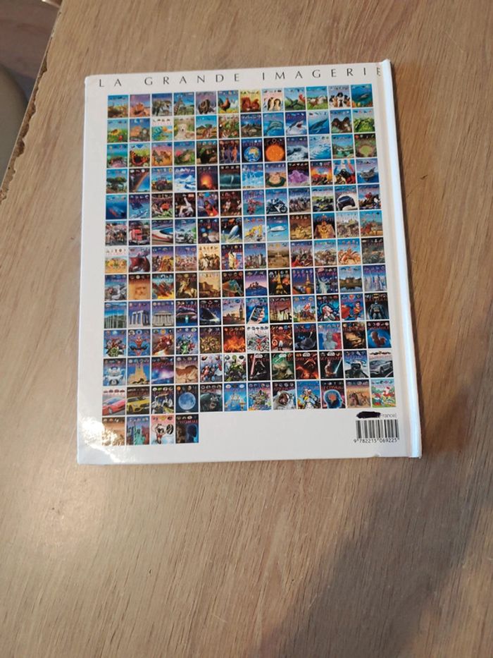 Livre sur les fauves - photo numéro 4