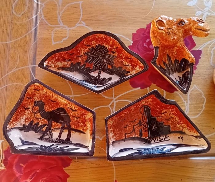 Plat dromadaire - photo numéro 2