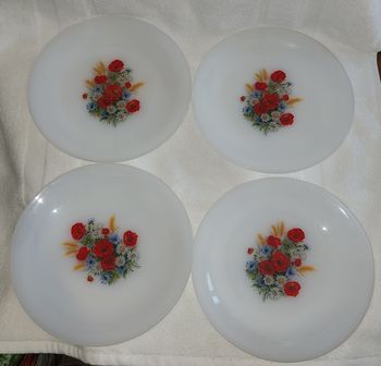 Lot de 4 assiettes à dessert Arcopal coquelicot