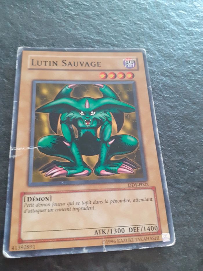 Carte Yu-Gi-Oh ! Lutin Sauvage DDY-F002