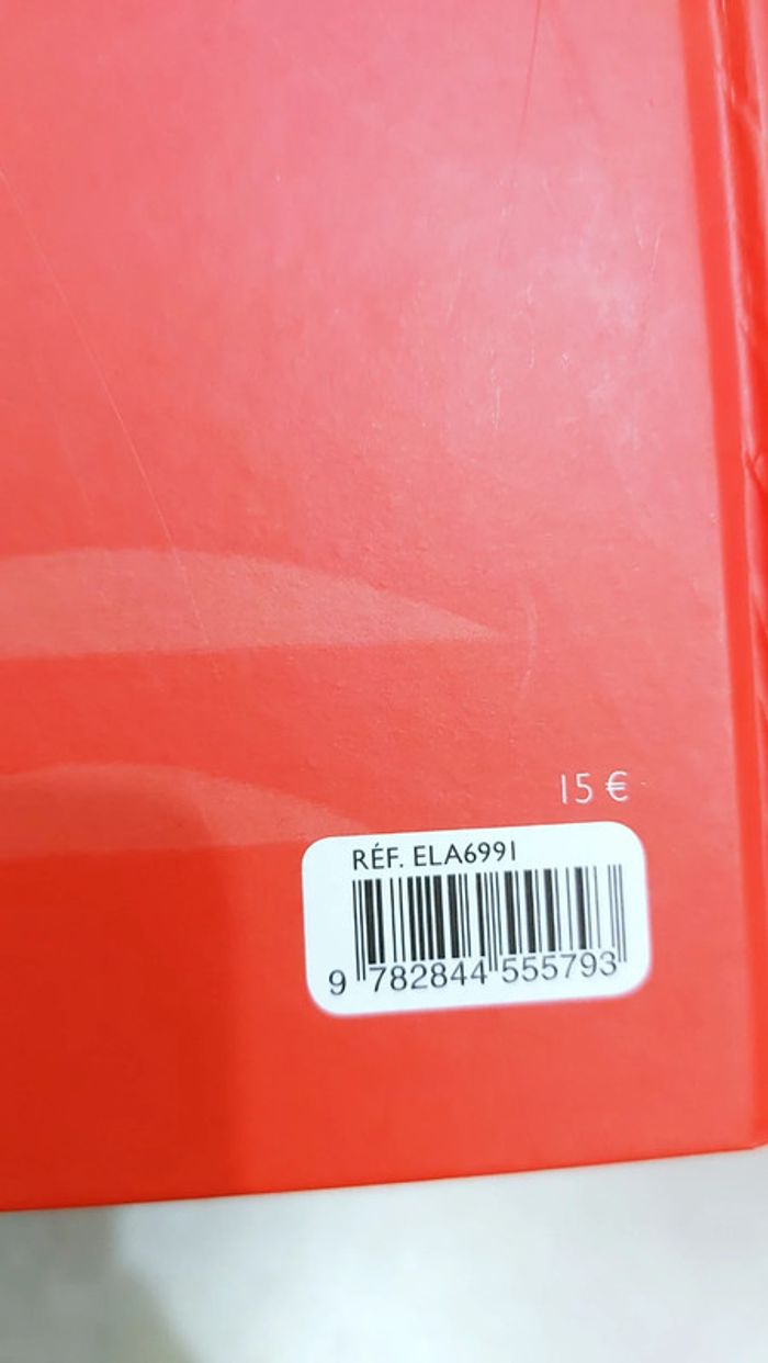 🌺 Livre : Othon le roi qui interdisait tout - photo numéro 6