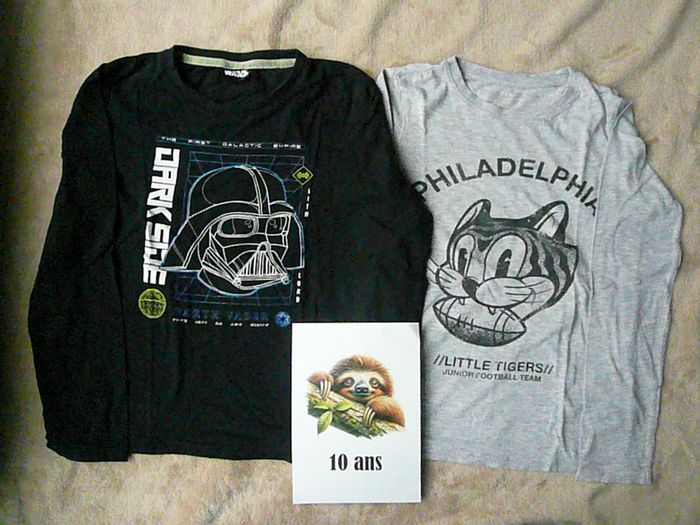 Lot de 2 tee-shirts garçon 10 ans (n°32)