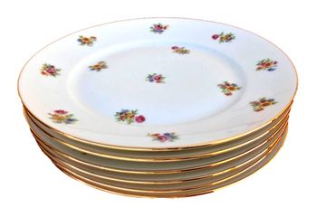 5 assiettes plates anciennes  Porcelaine P.N France