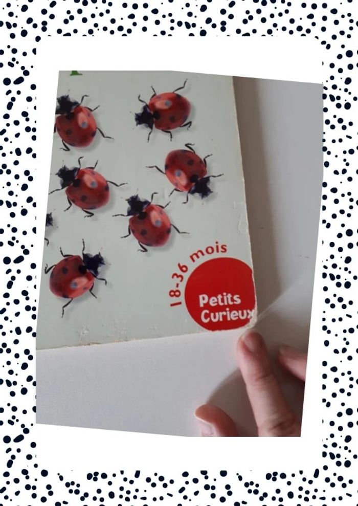 Livres cartonné "compter" 18-36mois - photo numéro 3