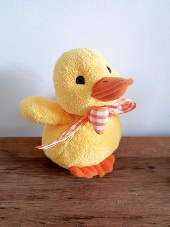 Peluche canard