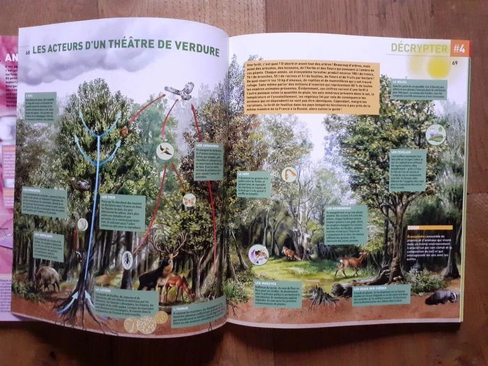 Sciences&vie junior le monde en images -F - photo numéro 5