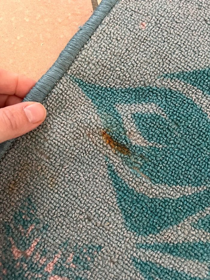 Donne tapis reine des neiges - photo numéro 4