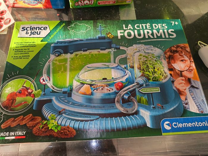 La cité de la fourmi