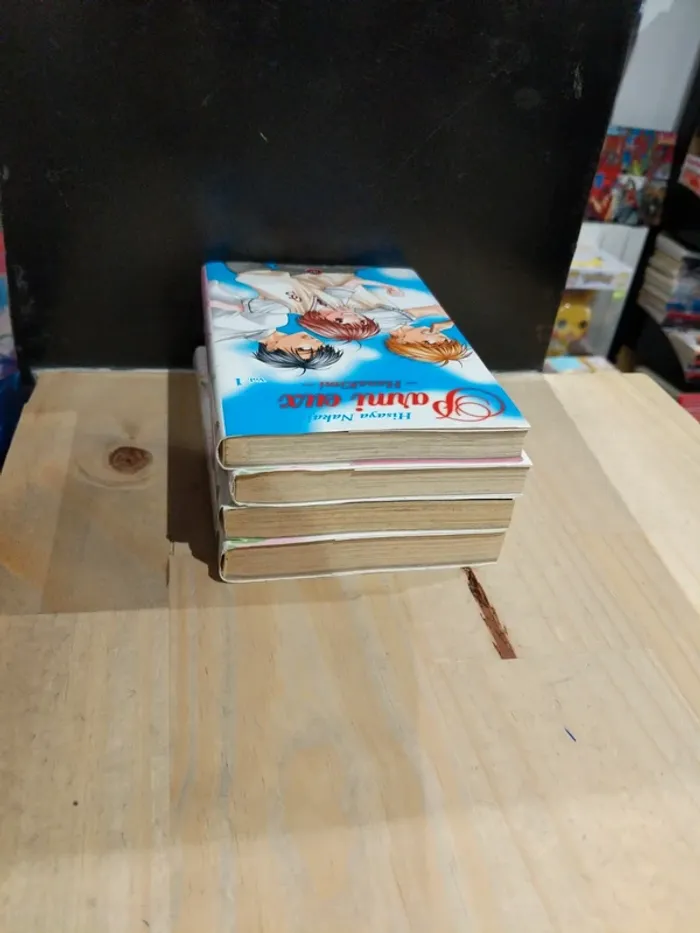 Parmi Eux – HanaKimi – Tomes 1 à 4 - photo numéro 4