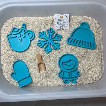 5 Mini plateaux pour transvasement « Monde Polaire »