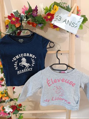 T-shirt manche courte+ pull Licorne 3ans