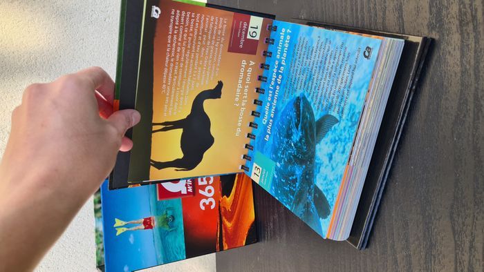 Calendrier perpetuel ça m’intéresse, 365 jours - photo numéro 2