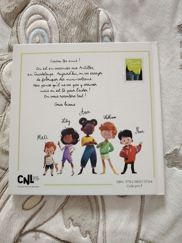 Livre le volcan - photo numéro 4