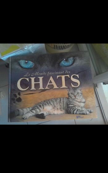 Le monde fascinant des chats