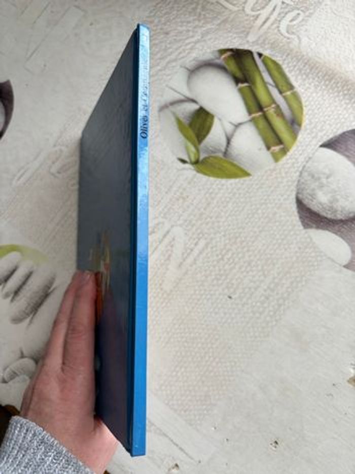 Livre Disney - photo numéro 6