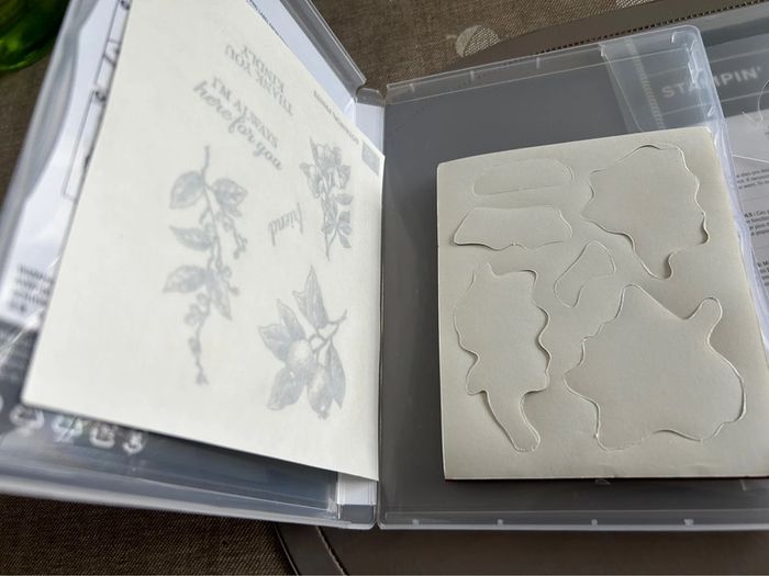 Lot neuf Stampin’up! Botanical Prints - photo numéro 3