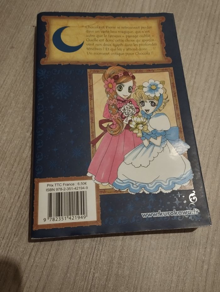 Manga - photo numéro 2