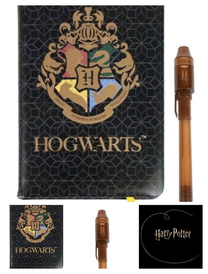 Harry Potter le carnet secret - photo numéro 2