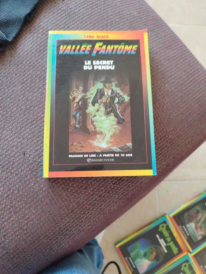 Lot de 18 livres chair de poule et un vallée fantôme - photo numéro 2