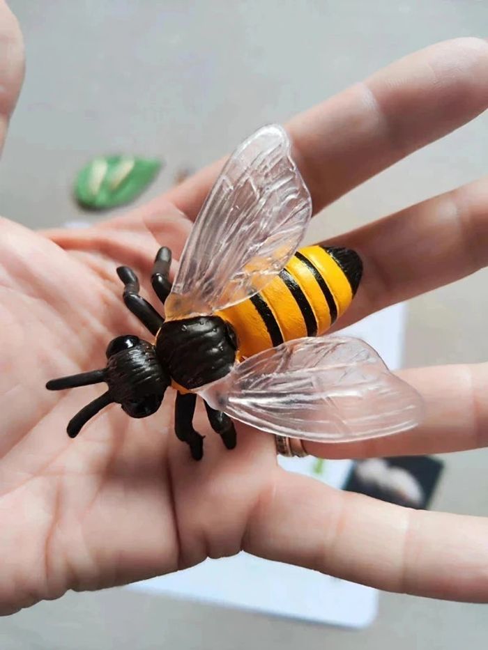 Kit cycle de vie d'une abeille Montessori - photo numéro 7