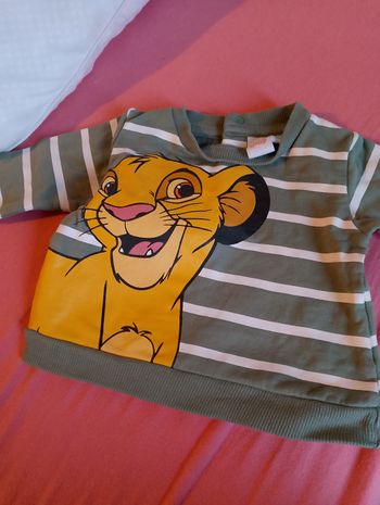 Vends pull rion lion bébé