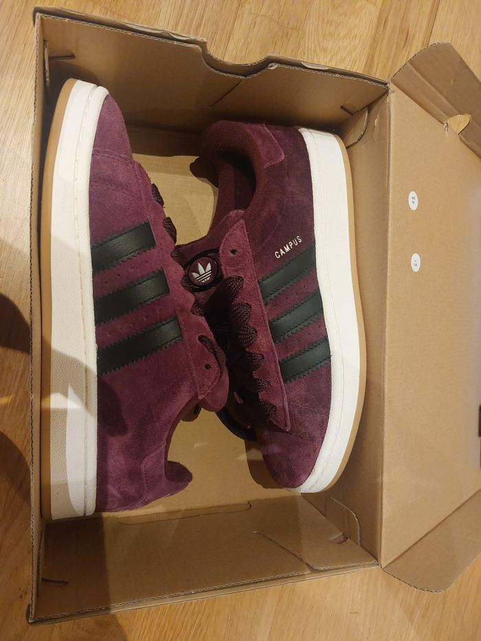 Basket adidas campus