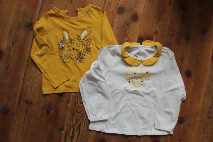 Deux blouses